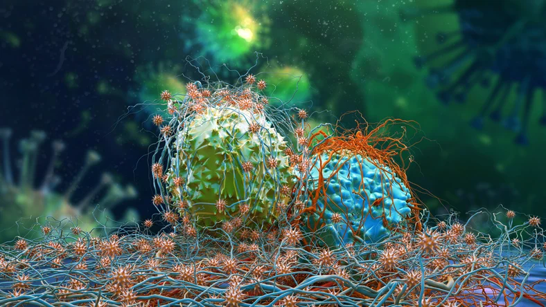 AI Precision Diagnostics Startup Waiv Secures $33 Million in Funding Following Spinout from Owkin to Scale Oncology Testing Solutions