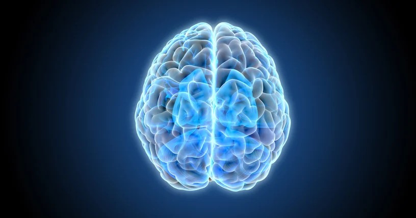 FDA Approves Denali Therapeutics Avlayah as First Brain-Penetrating Treatment for Neurologic Manifestations of Hunter Syndrome