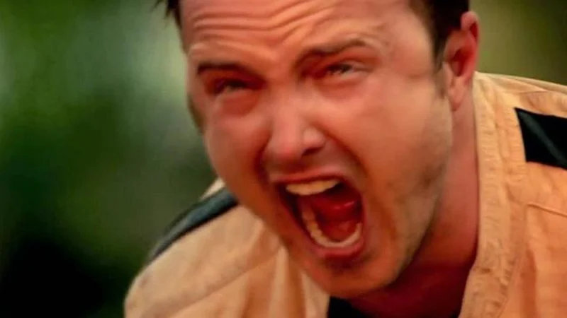 The Evolution and Cultural Impact of the Aaron Paul Screaming Meme