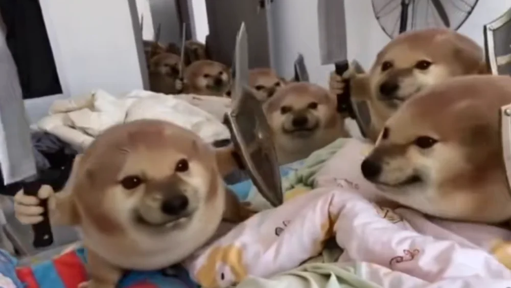 The Evolution of Drog and the Rise of the Wo De Dao Dun Meme Phenomenon