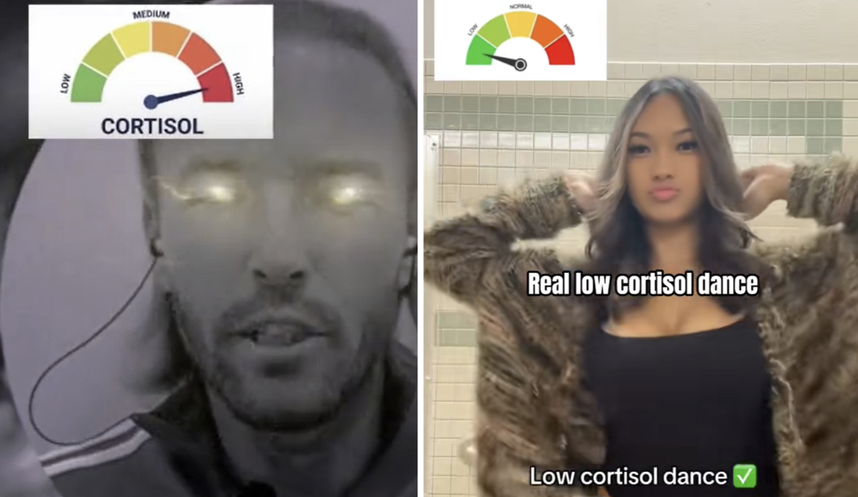 The Evolution of the Cortisol Spike Meme and its Impact on Contemporary Digital Subcultures