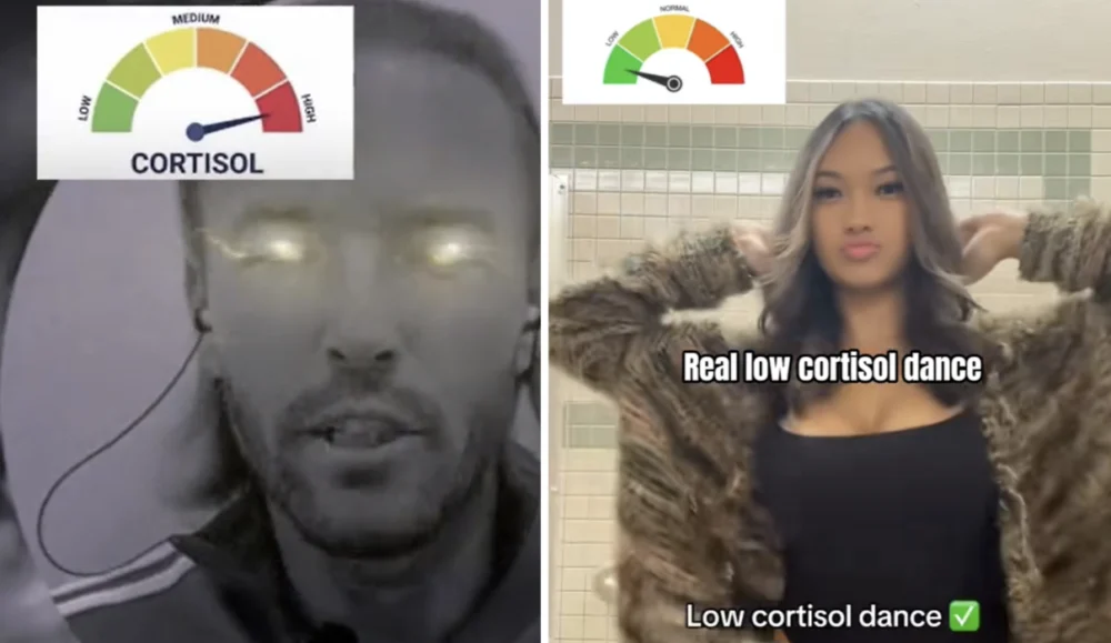The Evolution of the Cortisol Spike Meme and its Impact on Contemporary Digital Subcultures