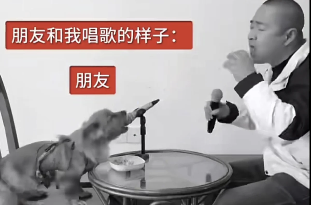 Chinese Dog Singing