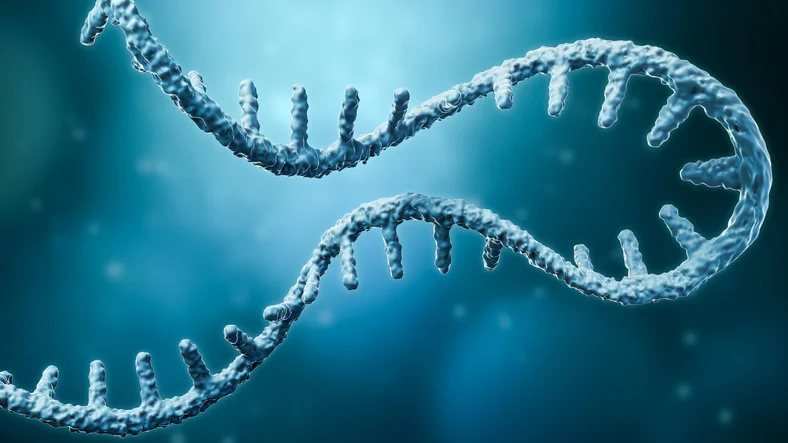 Moderna and Merck Announce Landmark Success in Phase 3 Trial of Personalized mRNA Cancer Therapy for Melanoma Patients