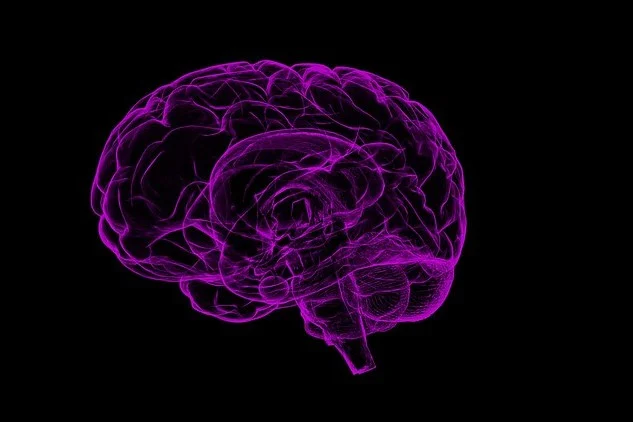 Novartis Strengthens Neuroscience Pipeline with 125 Million Dollar Acquisition of Sironax Brain Delivery Platform Technology
