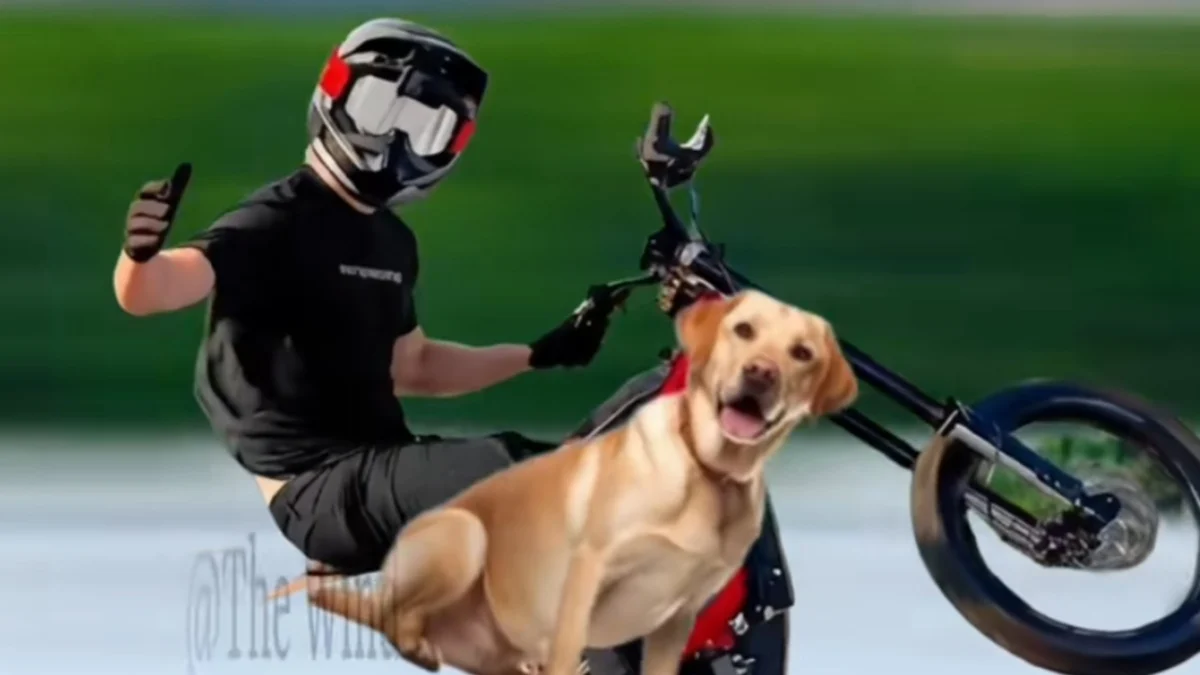 “Oh, No, No, No,” E-Bike Accident Audio