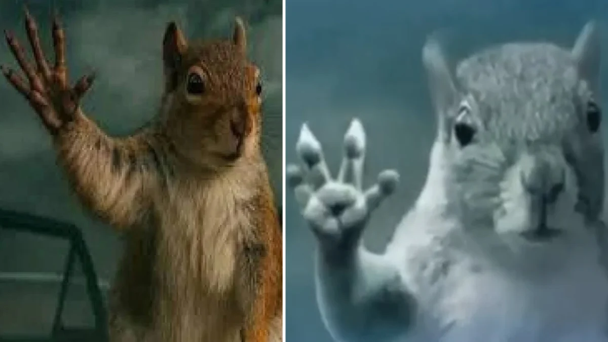 Squirrel Waving Bye In Tornado