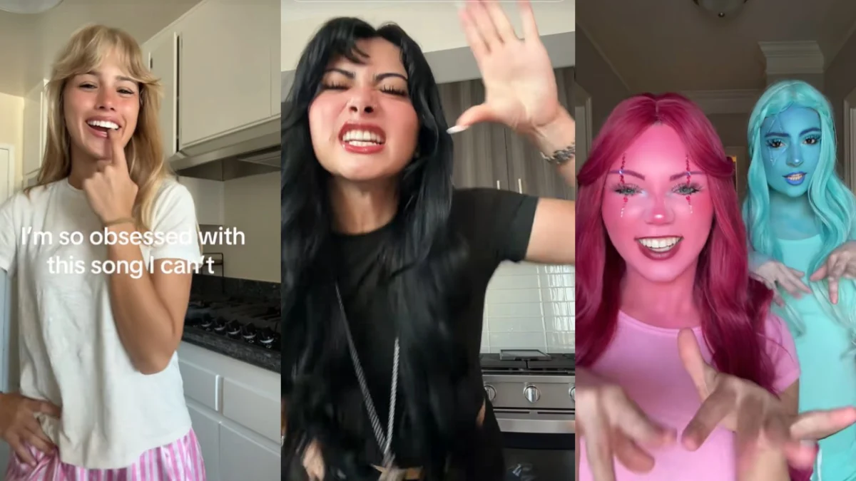 The Rise of BFF4L and the Viral Put His Body In That Attic Trend on TikTok