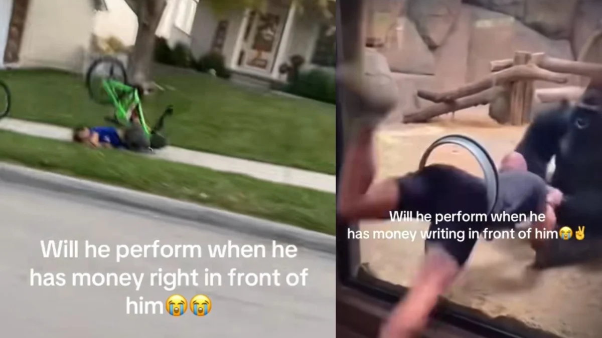 What Is The Will He Perform When He Has Money Right In Front Of Him Meme? The Viral Fail Audio And Trend Explained