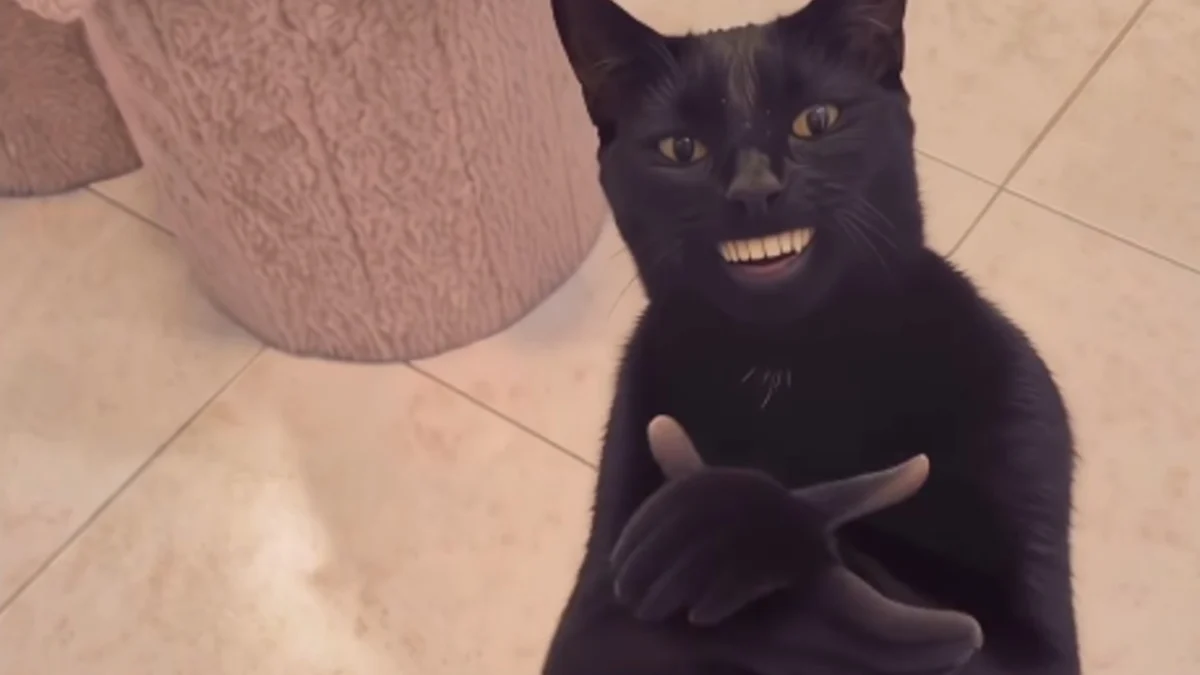 Black Cat Clapping