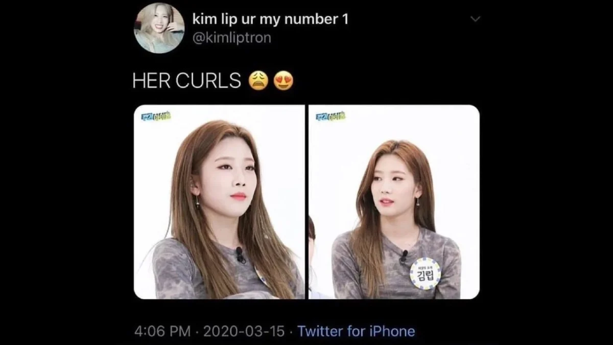 The Evolution and Cultural Resurgence of the Her Curls Meme Within Global Digital Communities
