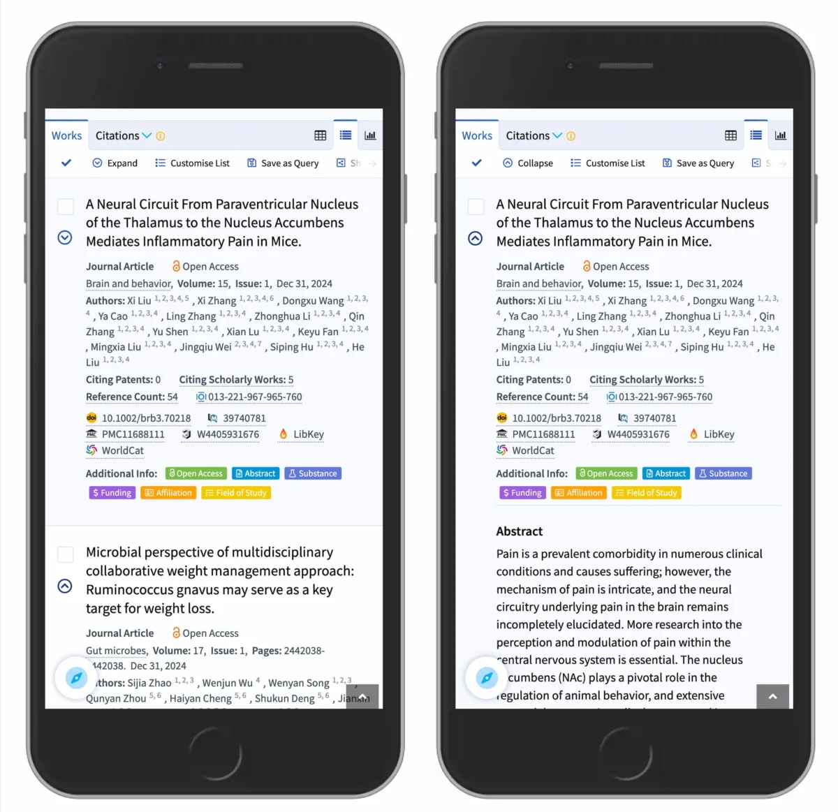 The Evolution of Accordion UI: Why the Caret Icon Remains the Gold Standard for Web Accessibility and User Experience